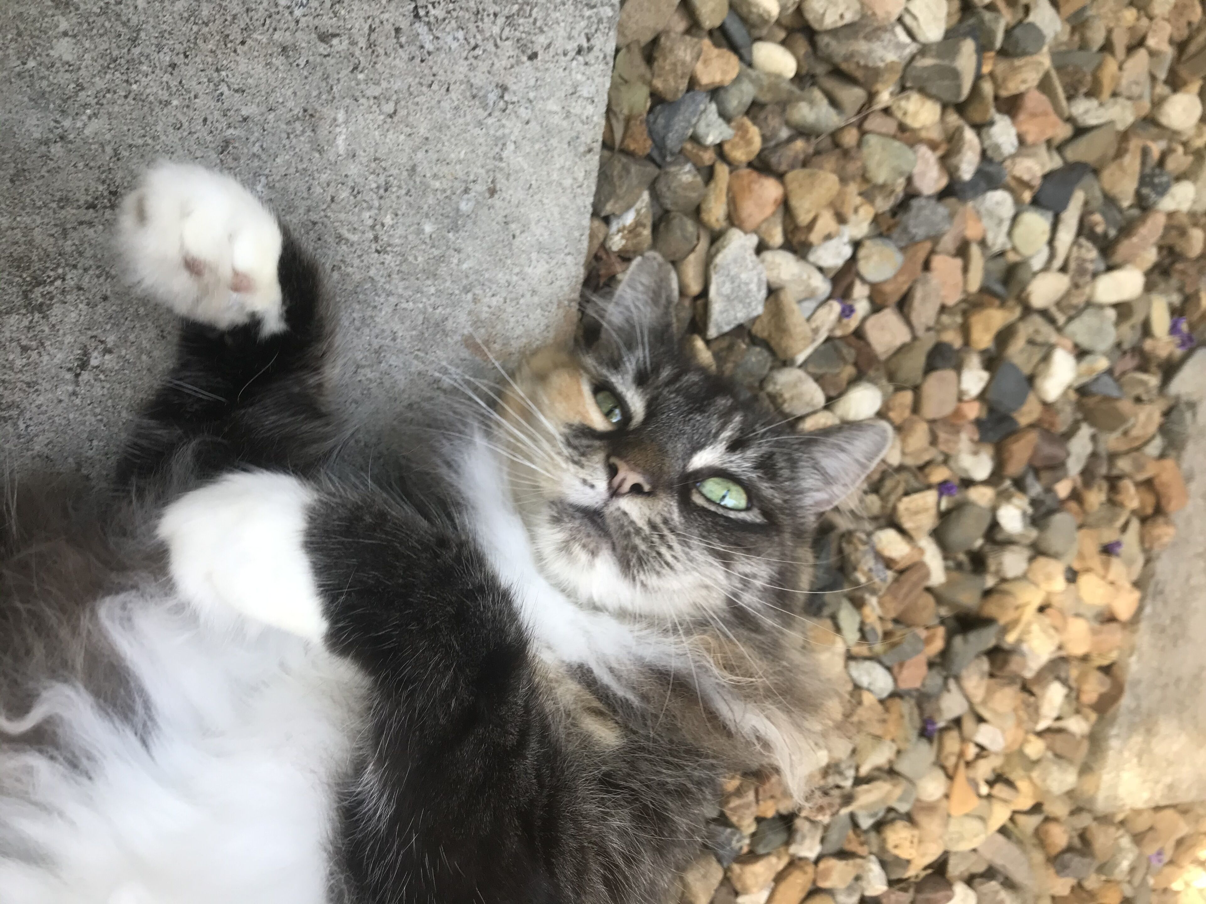 Burleigh Waters Retreat - Point of Difference - east coast holidays online — image 3