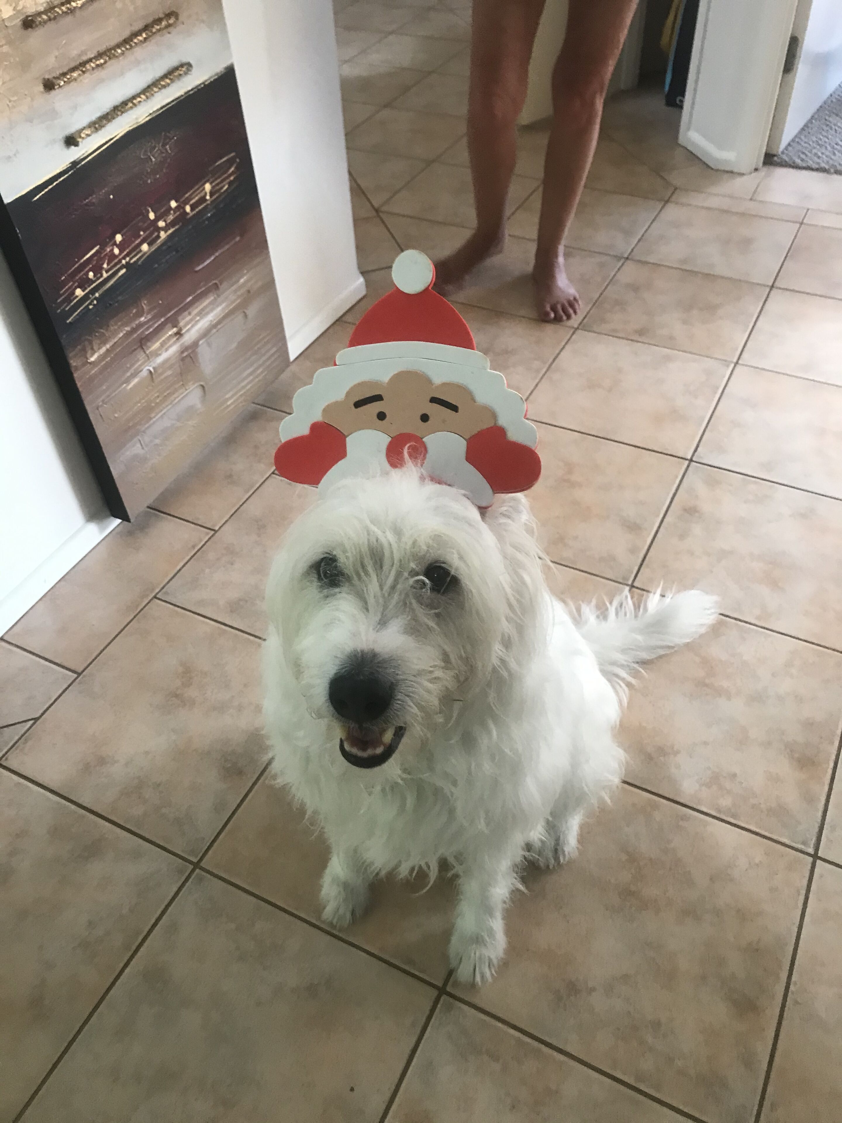 Burleigh Waters Retreat - Point of Difference - east coast holidays online — image 4