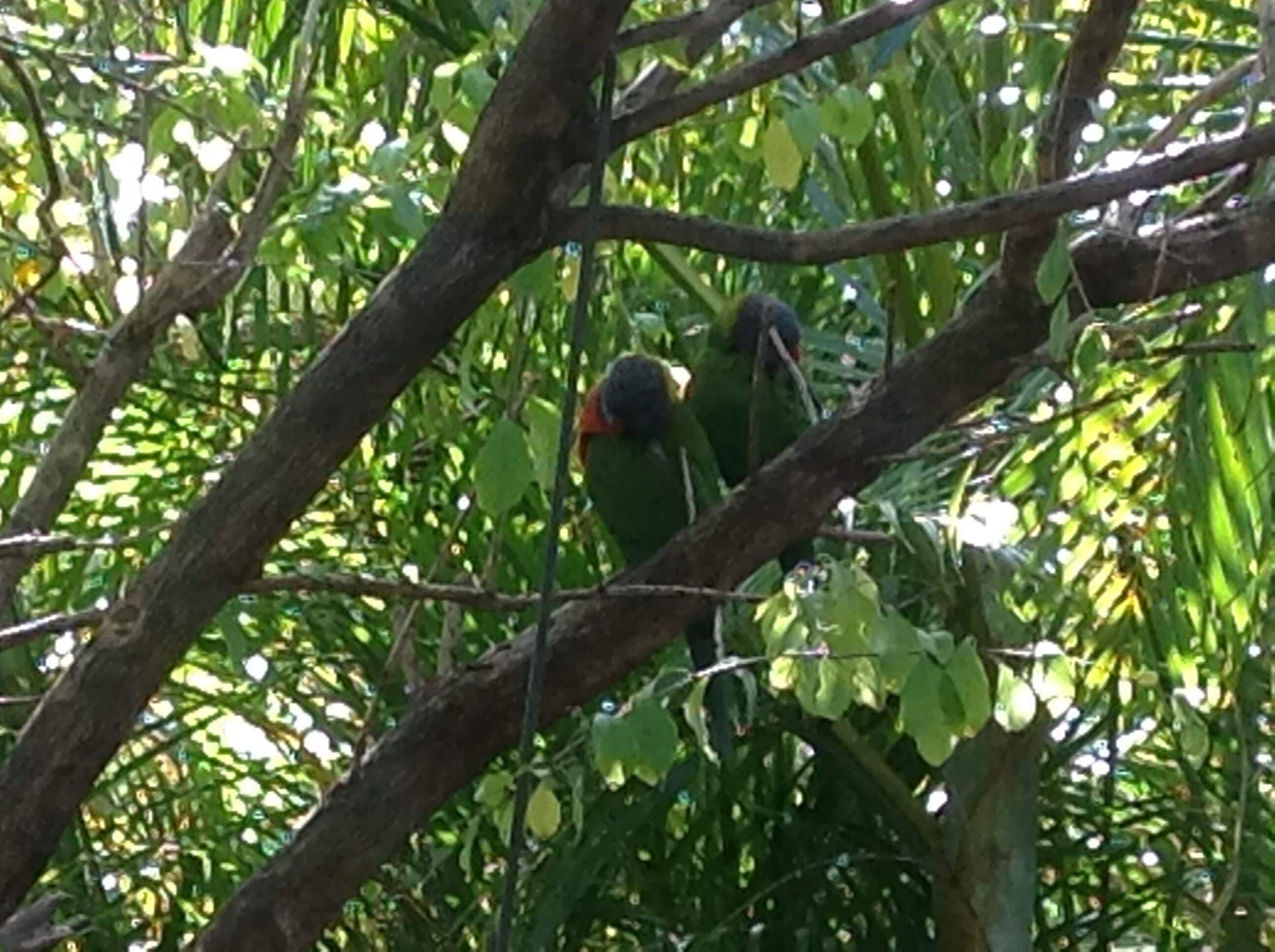 Burleigh Waters Retreat - Point of Difference - east coast holidays online — image 29