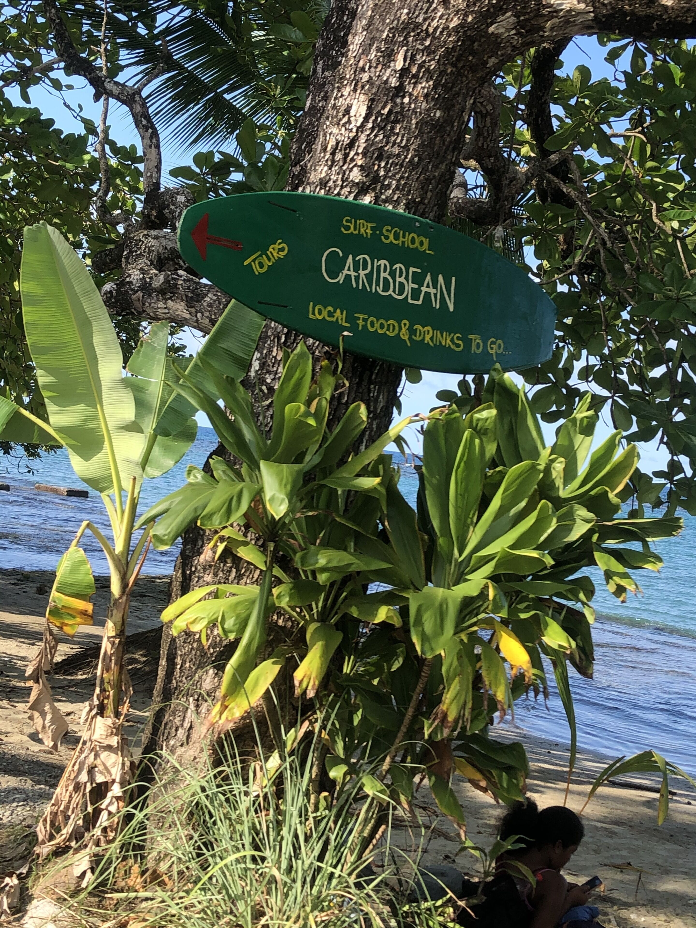 Placa anunciando passeios para o Caribe, rodeada por vegetação exuberante e uma praia.