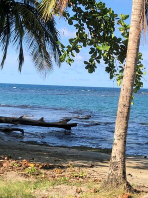 Beach nearby - Caribbean Experience (Cahuita)