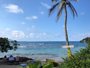 A beach with a palm tree, a wooden signpost, and a few boats. - Caribbean Experience (Cahuita)