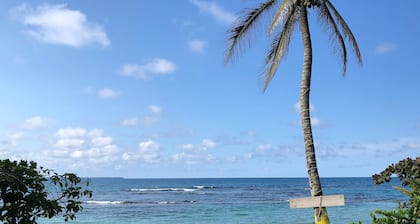 Caribbean Experience