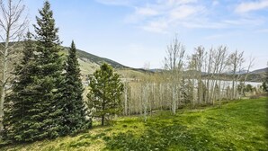 A grassy field with trees and a lake in the background.