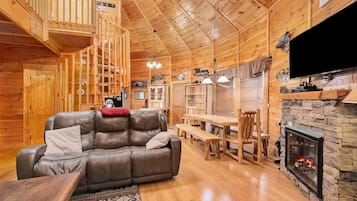 TV, fireplace, DVD player, books