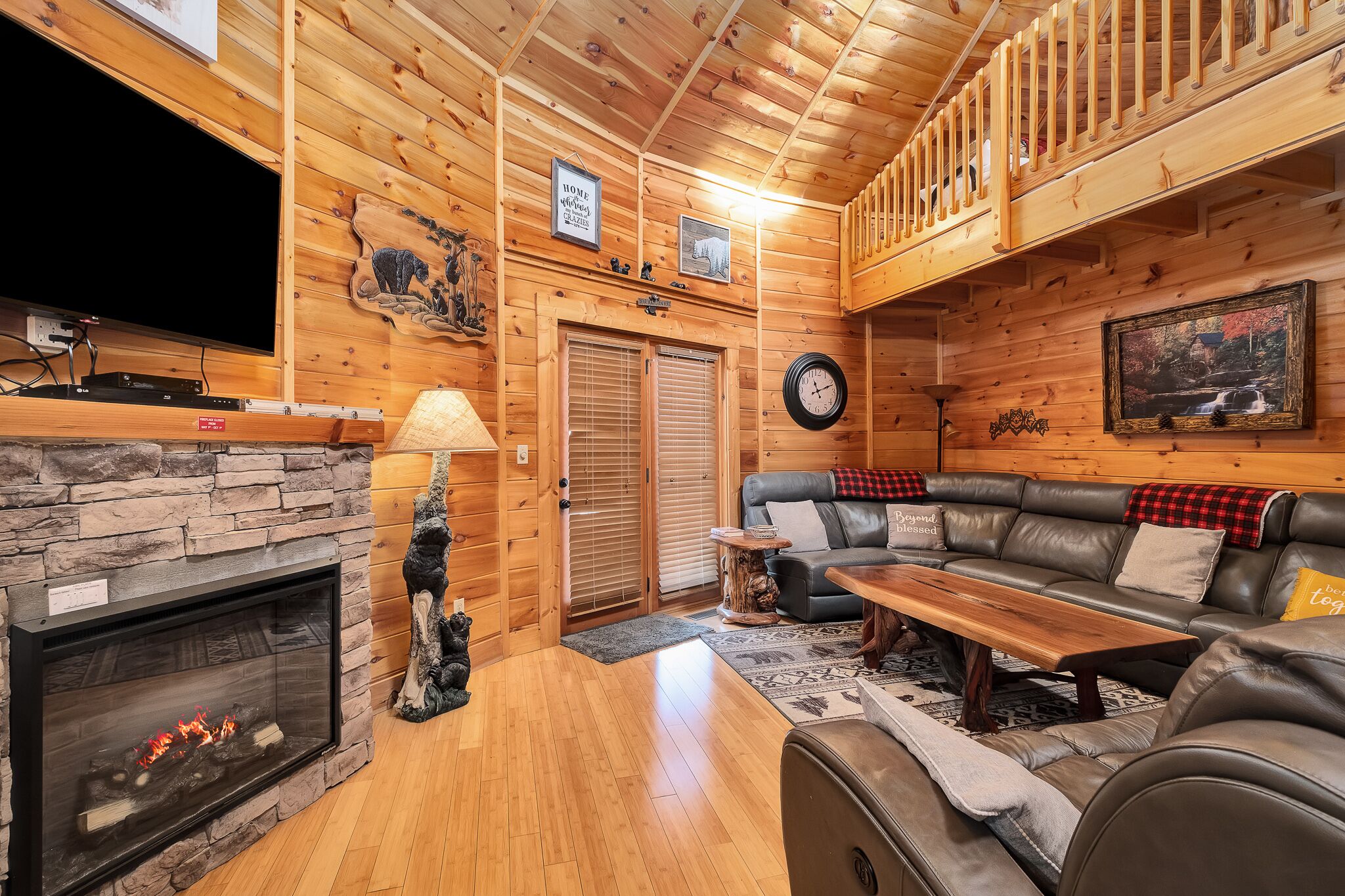 TV, fireplace, DVD player, books