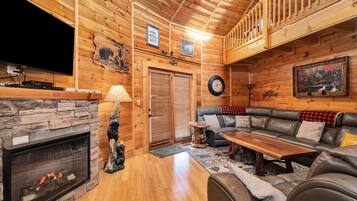 TV, fireplace, DVD player, books