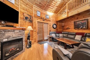 TV, fireplace, DVD player, books