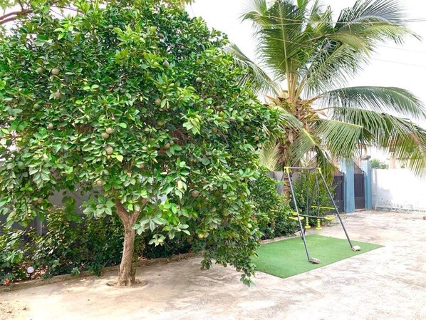 A lush green garden with a palm tree and a swing set.