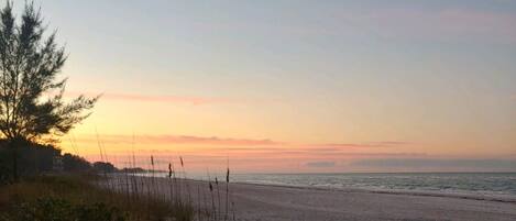 ビーチの近く、サンラウンジャー、ビーチタオル