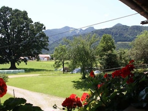 Escape to a serene natural haven surrounded by lush greenery and majestic mountains.