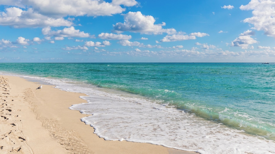 Kaskades Hotel South Beach