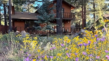 Overnattingsstedets uteområder