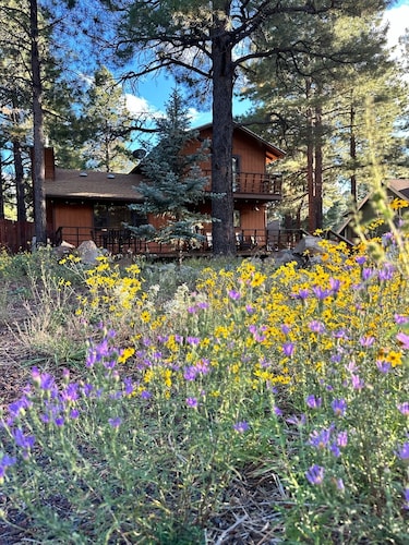 Winter is here in Flagstaff! Enjoy the pines in a 3 2 with a king bed