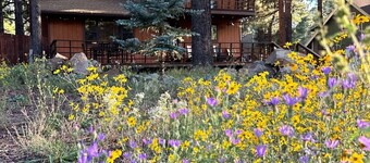 Winter is here in Flagstaff! Enjoy the pines in a 3 2 with a king bed