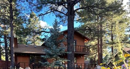 Winter is here in Flagstaff! Enjoy the pines in a 3 2 with a king bed