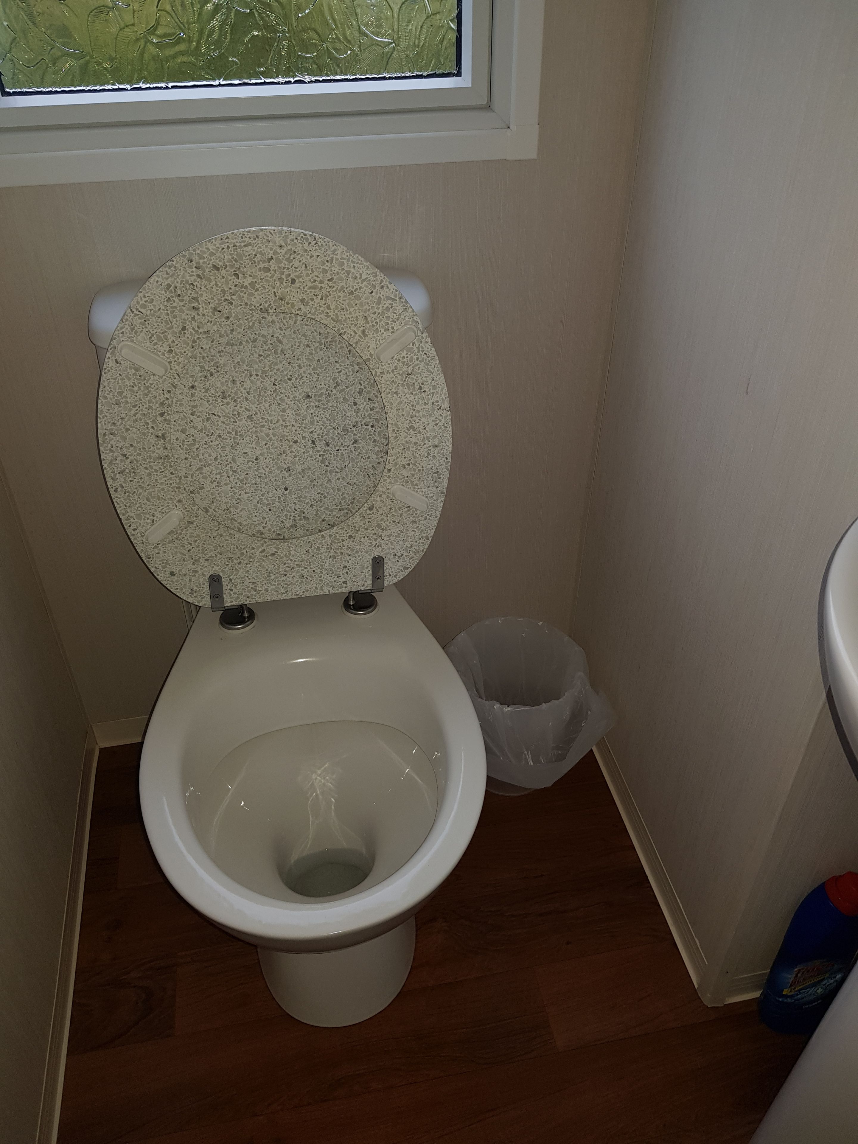 Een toilet met een gespetterd zitkussen, een witte prullenbak en een raam erboven.