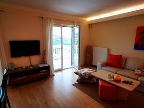 TV, fireplace, video games, DVD player