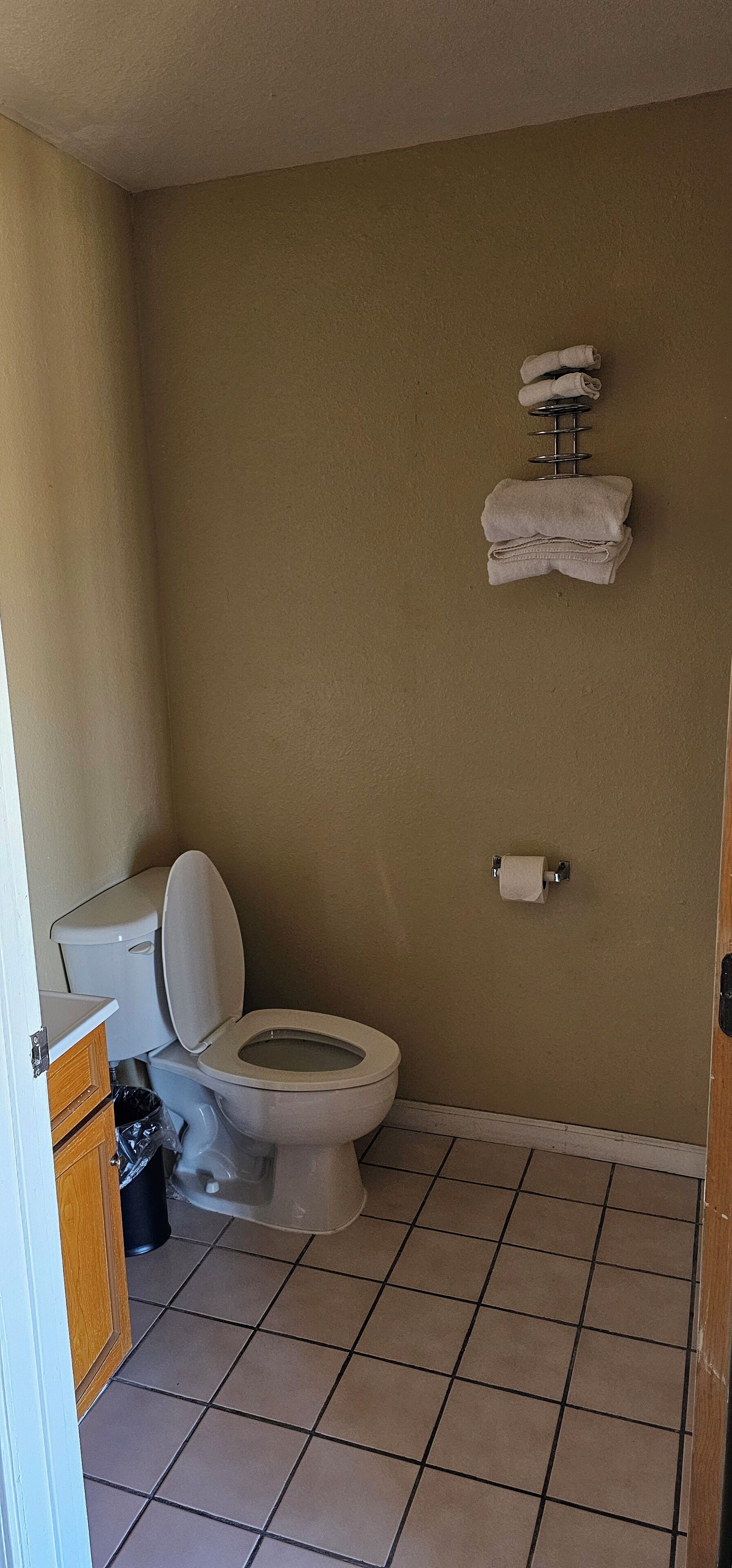 Un baño con inodoro, toallero y cubo de basura.