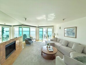 Smart TV, chimenea, reproductor de DVD y libros 