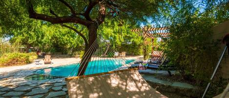 室外游泳池,恒温泳池