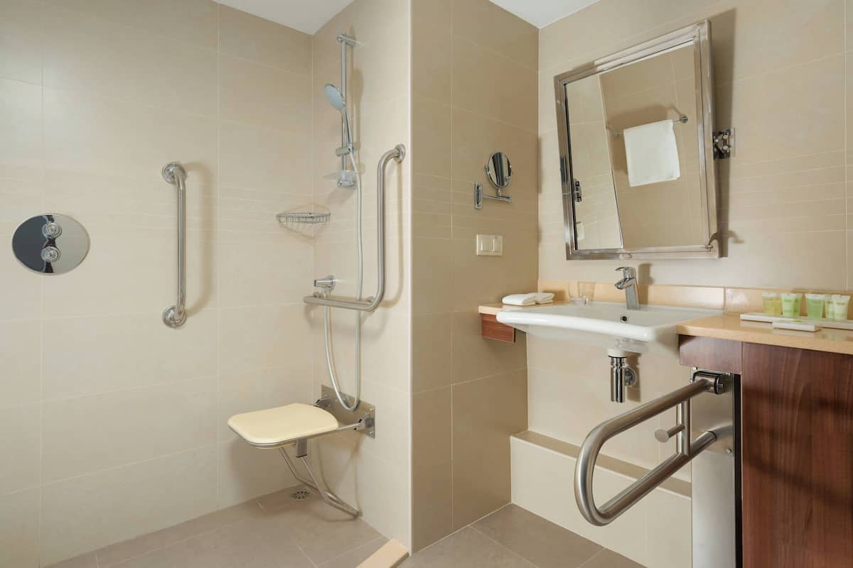 standard room, 1 king bed, city view | bathroom | shower, free toiletries, hair dryer, bathrobes