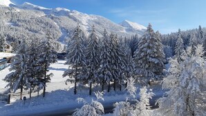 Eine verschneite Berglandschaft mit schneebedeckten Bäumen und blauem Himmel.