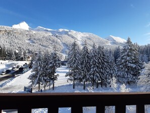 A snowy mountain landscape with snow-covered trees and a clear sky.