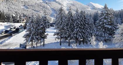 T3 with 2 bedrooms, large balcony in a quiet area, renovated and well-equipped