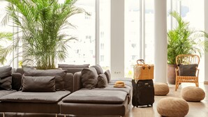 Un salon moderne avec un canapé, des poufs, un fauteuil en osier et des plantes en pot.