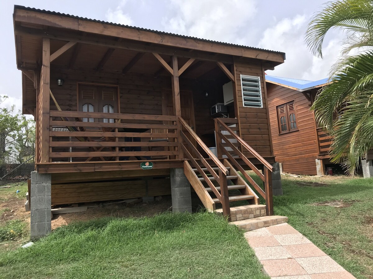 Imagen de perfil del propietario o de la propietaria