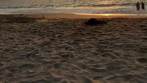 A beach with the sun setting over the ocean, two people standing in the water, and a sandy foreground.