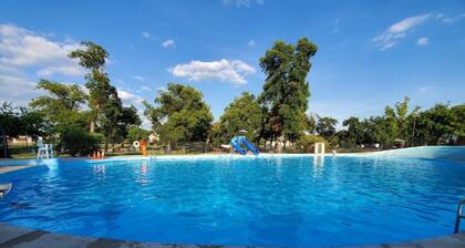 Historic Southtown Gem - Walk Along the River