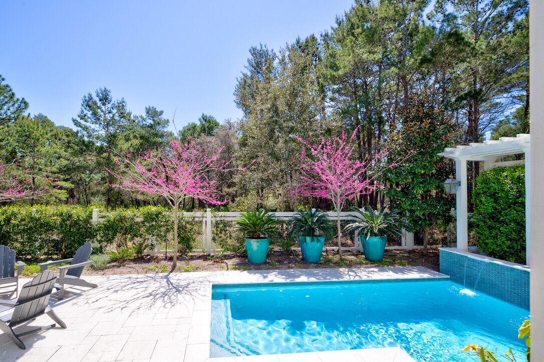 A swimming pool with a wooden deck and chairs, surrounded by trees and potted plants.