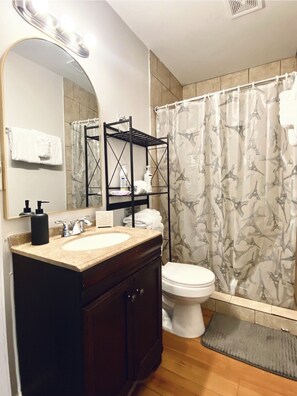 Shower, hair dryer, towels, soap