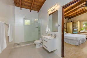 Douche, sèche-cheveux