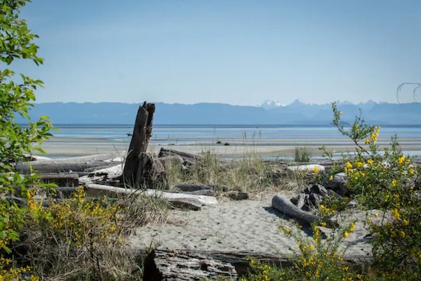 Ubicación a pie de playa, tumbonas y toallas de playa