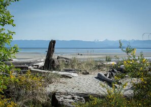 A beach with driftwood, yellow flowers, and a clear view of distant mountains. - Windslow Guest Suite at Kye Bay Beach in Comox (Comox)