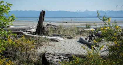 Windslow Guest Suite at Kye Bay Beach in Comox