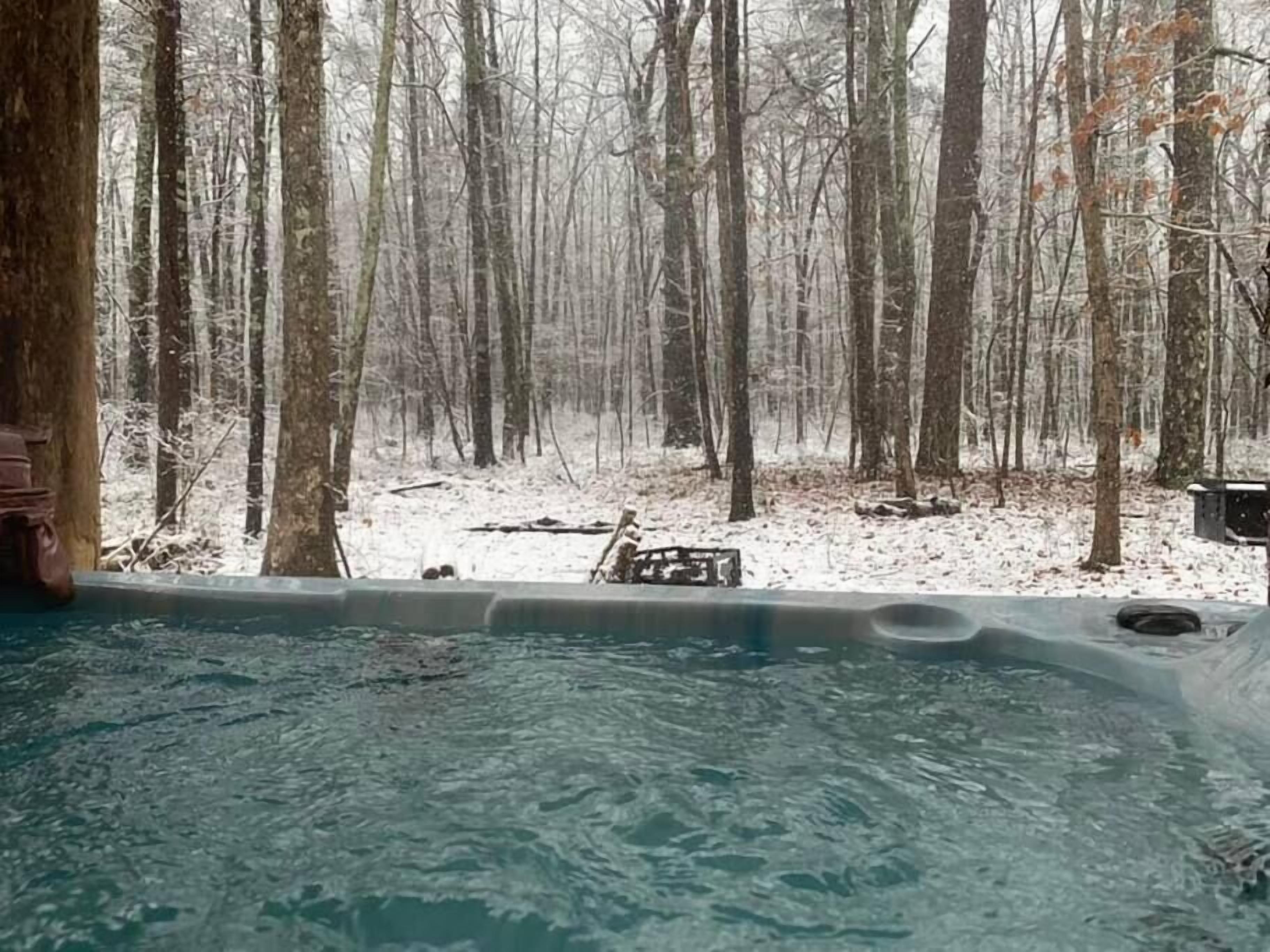 Bird House! Cozy cabin in the woods! With hot tub!