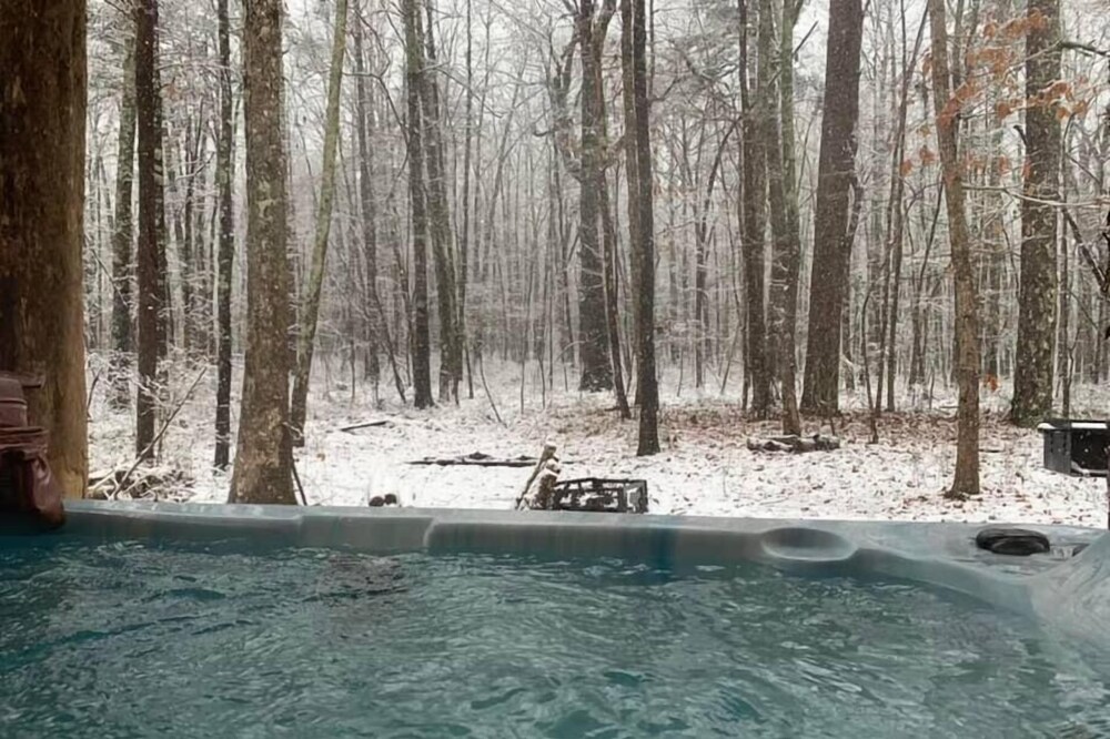 Bird House! Cozy cabin in the woods! With hot tub!