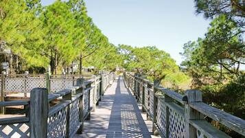 Barefoot Gypsy | Property grounds