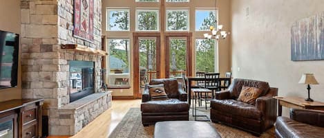 Smart TV, chimenea, reproductor de DVD y libros