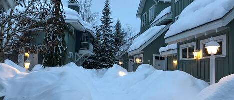 Townhome, Multiple Beds (Panoramic Views from this gorgeous 2 ) | Exterior