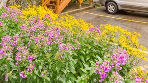 A multi-story building with a staircase leading to the upper floors, surrounded by vibrant flowers.