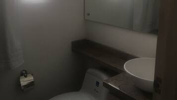 Shower, towels, soap, toilet paper