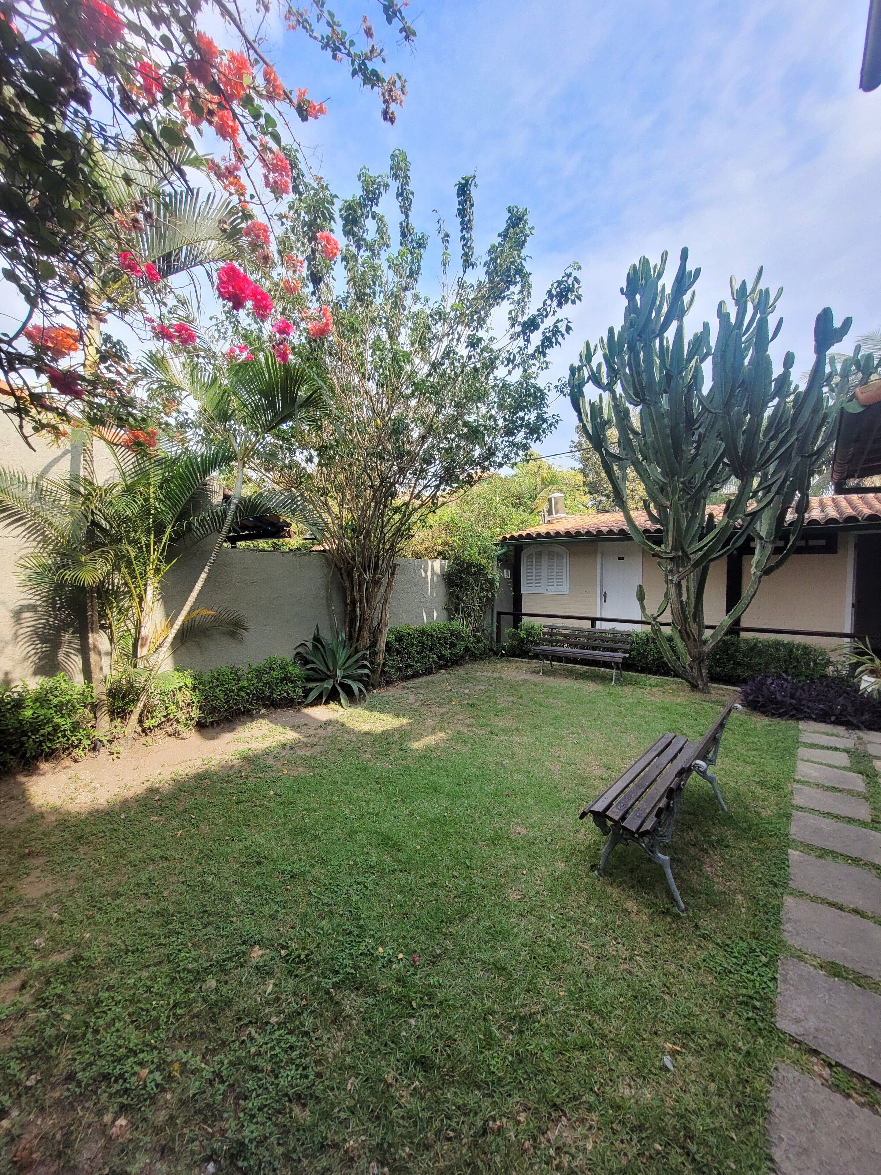 A well-maintained garden with a variety of plants, a wooden bench, and a pathway.