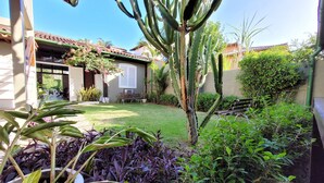 Un jardín con un cactus, diversas plantas, un banco y una casa de techo con tejas.