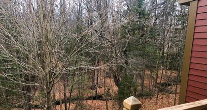 Mount Snow Timber Creek Townhouse with Pool and Ski Shuttle