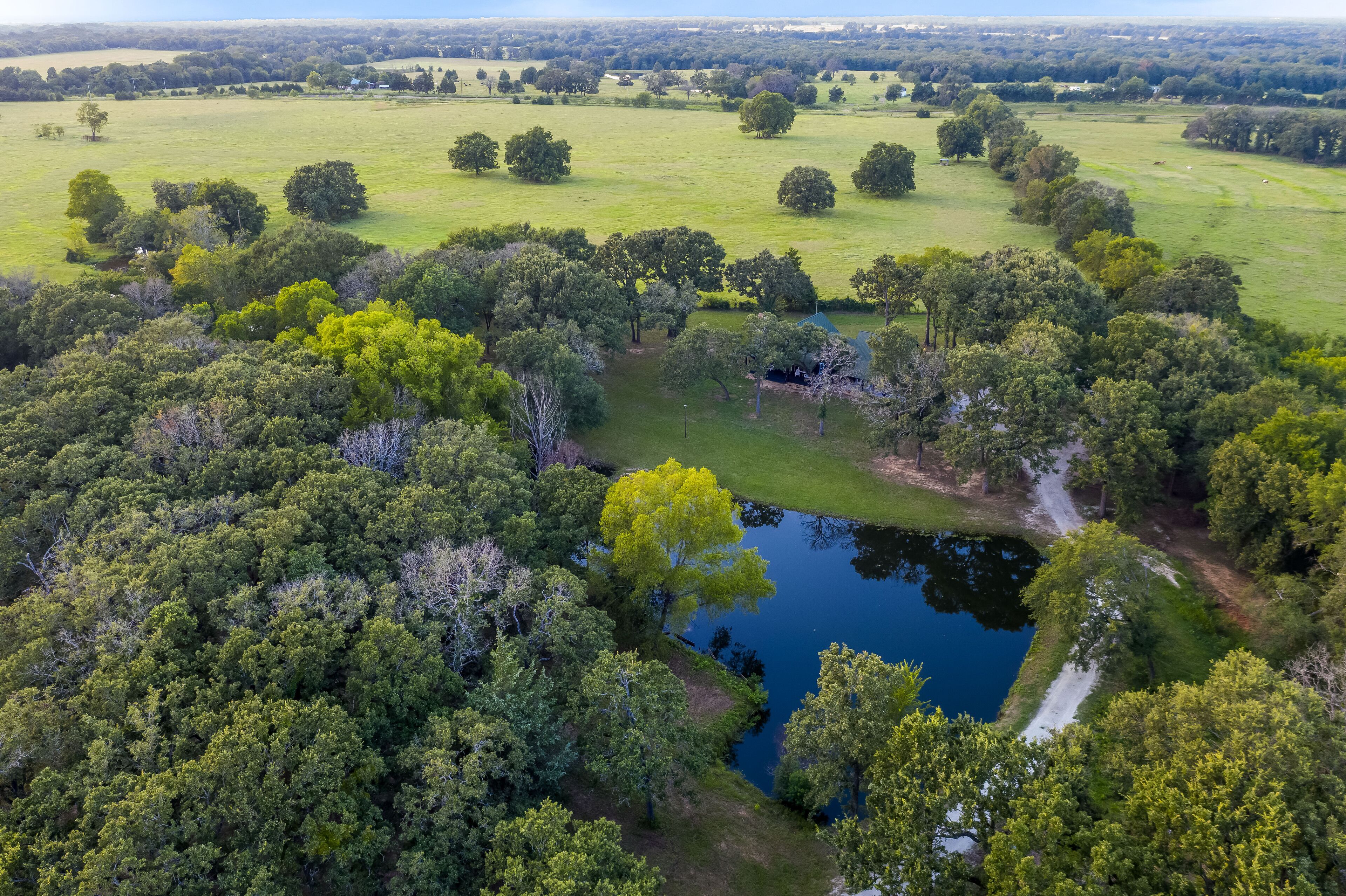 An aerial view of a rural landscape with a pond, trees, and open fields.